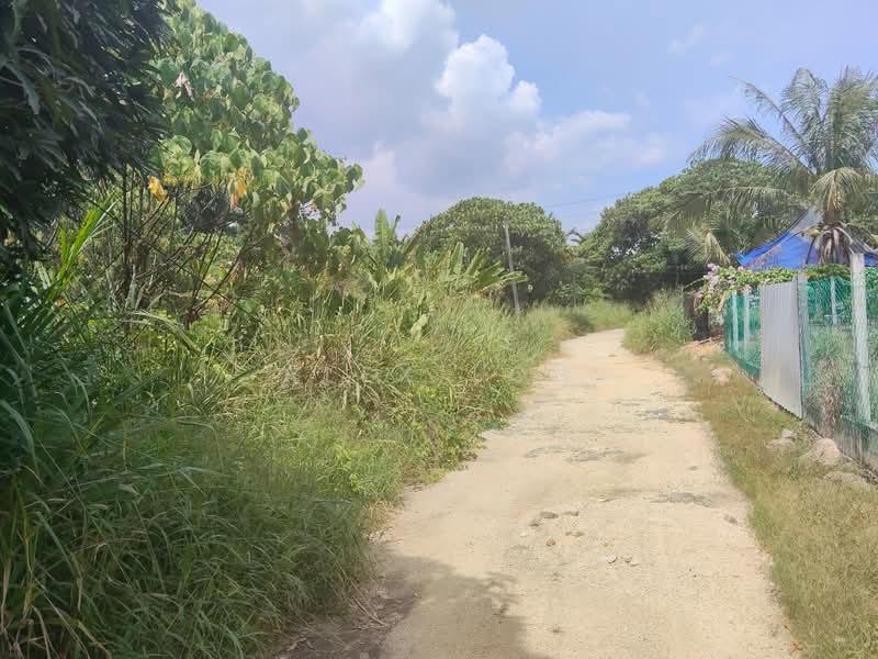Agricultural Land for Sale in Sungai Bakap (Penang) - Alex Loh - Exterior - PropertyGuru.com.my