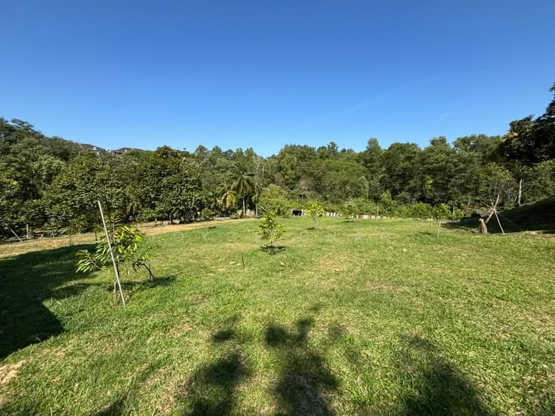 Agricultural Land for Sale in Senawang (Negeri Sembilan) - Joyce Chan - Garden - PropertyGuru.com.my