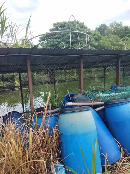 Agricultural Land for Sale in Ulu Langat (Selangor) - Shirley Yong - Exterior - PropertyGuru.com.my