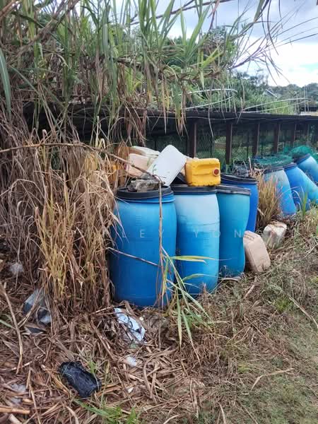 Agricultural Land for Sale in Ulu Langat (Selangor) - Shirley Yong - PropertyGuru.com.my