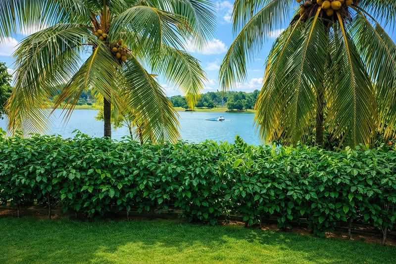 Bungalow for Sale in Cyberjaya (Selangor) - Jared Wong - PropertyGuru.com.my