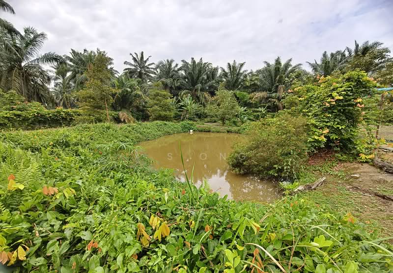 Agricultural Land for Sale in Johor Bahru (Johor) - K S Ong - Exterior - PropertyGuru.com.my