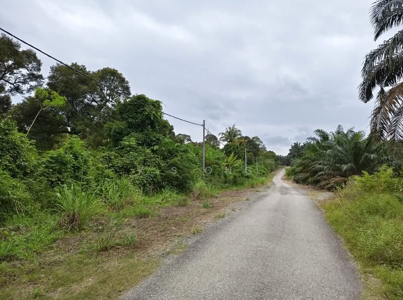 Agricultural Land for Sale in Johor Bahru (Johor) - K S Ong - Exterior - PropertyGuru.com.my