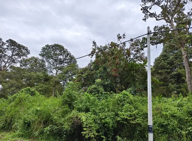 Agricultural Land for Sale in Johor Bahru (Johor) - K S Ong - PropertyGuru.com.my