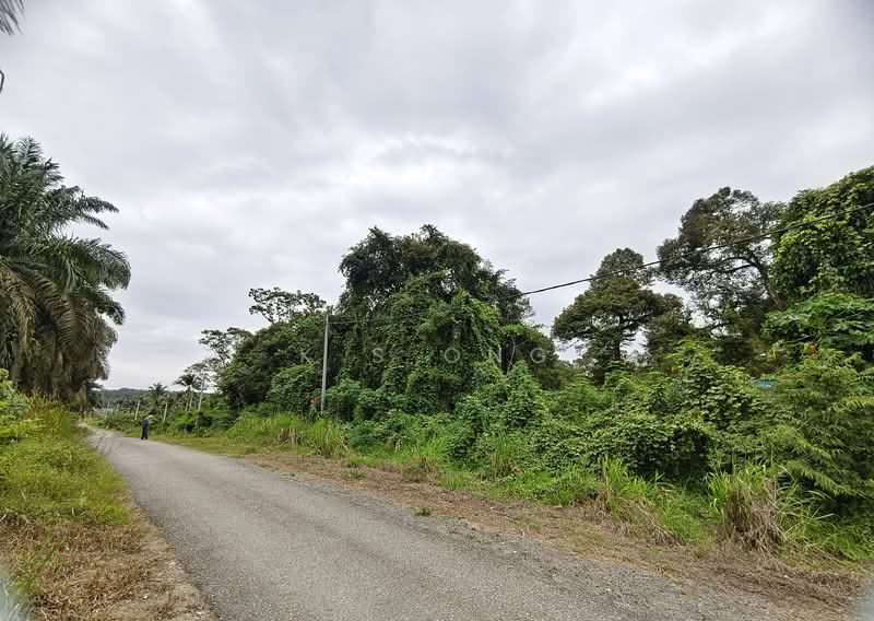 Agricultural Land for Sale in Johor Bahru (Johor) - K S Ong - Exterior - PropertyGuru.com.my