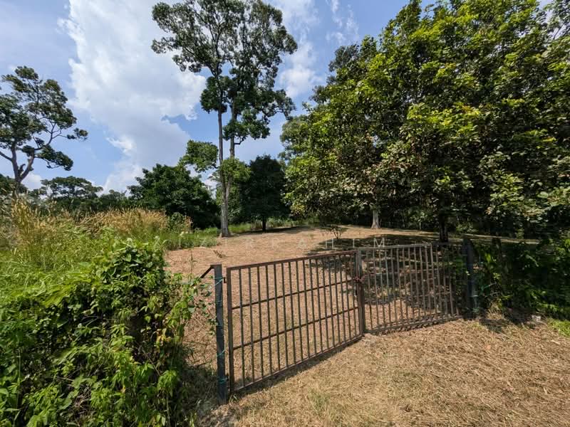 Agricultural Land for Sale in Kuang (Selangor) - Azizirrahim . - Garden - PropertyGuru.com.my