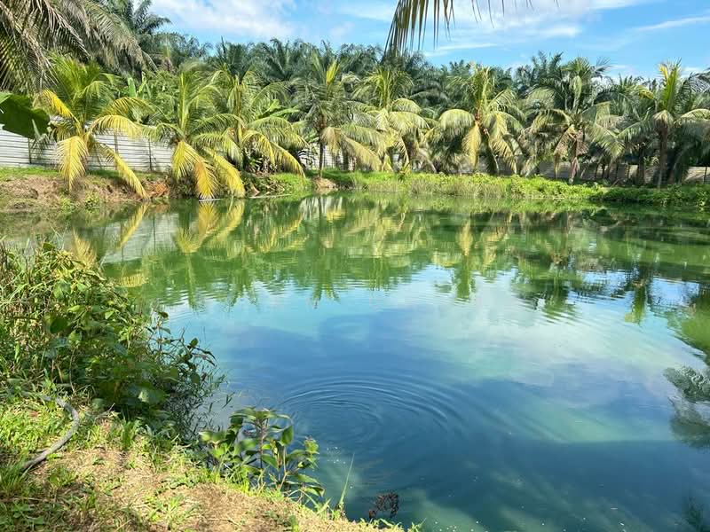 10 Acres Agriculture Land @ Plentong, Masai untuk Untuk Dijual - RM 6,534,000, Mac 2026 - Garden - PropertyGuru.com.my