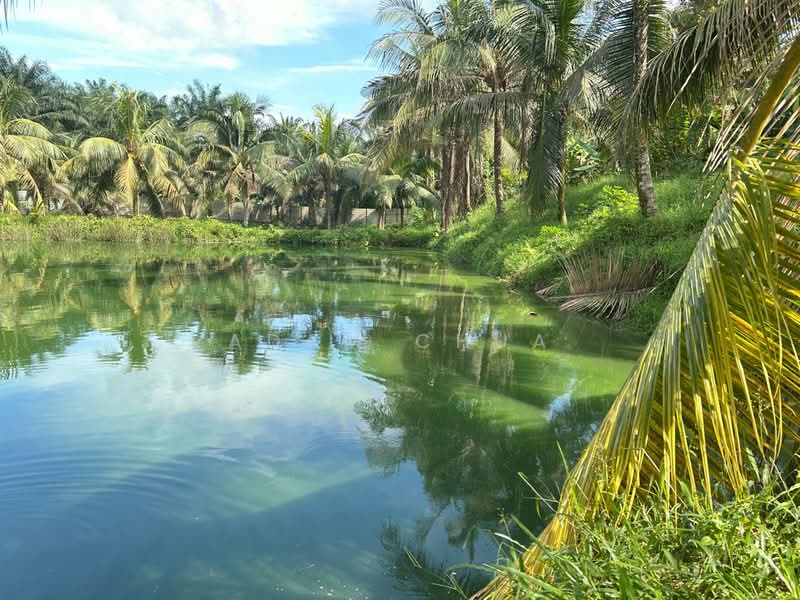 10 Acres Agriculture Land @ Plentong, Masai untuk Untuk Dijual - RM 6,534,000, Mac 2026 - Garden - PropertyGuru.com.my