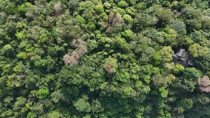 Kampung Sungai Penchala untuk Untuk Dijual - RM 8,600,000, Mac 2026 - Exterior - PropertyGuru.com.my