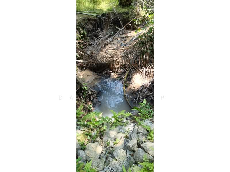 Agricultural Land for Sale in Kulai (Johor) - Darius Yeap - Exterior - PropertyGuru.com.my