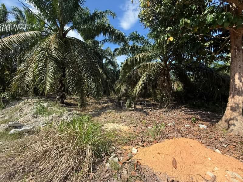 Agricultural Land for Sale in Kota Tinggi (Johor) - Ty Tan - Exterior - PropertyGuru.com.my