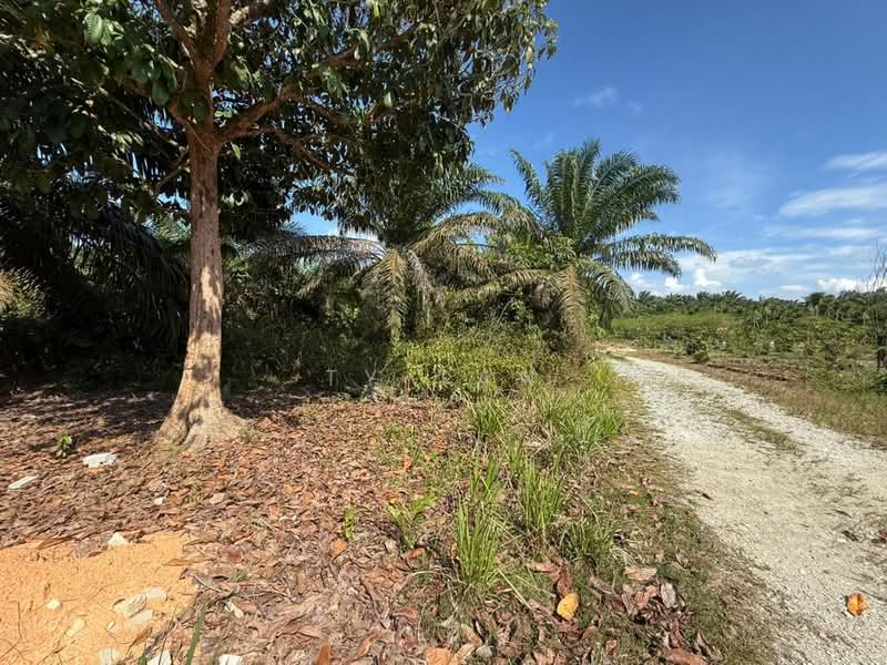 Agricultural Land for Sale in Kota Tinggi (Johor) - Ty Tan - Exterior - PropertyGuru.com.my