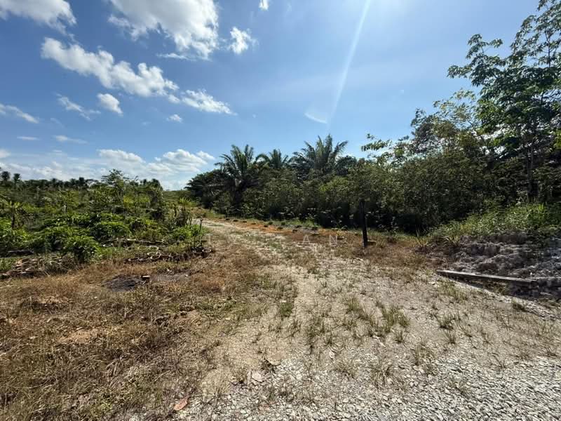 Agricultural Land for Sale in Kota Tinggi (Johor) - Ty Tan - Exterior - PropertyGuru.com.my