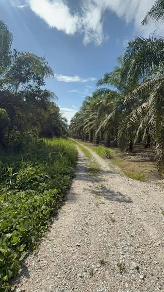 Agricultural Land for Sale in Kota Tinggi (Johor) - Ty Tan - Exterior - PropertyGuru.com.my