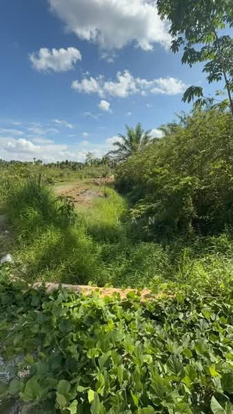 Agricultural Land for Sale in Kota Tinggi (Johor) - Ty Tan - Exterior - PropertyGuru.com.my