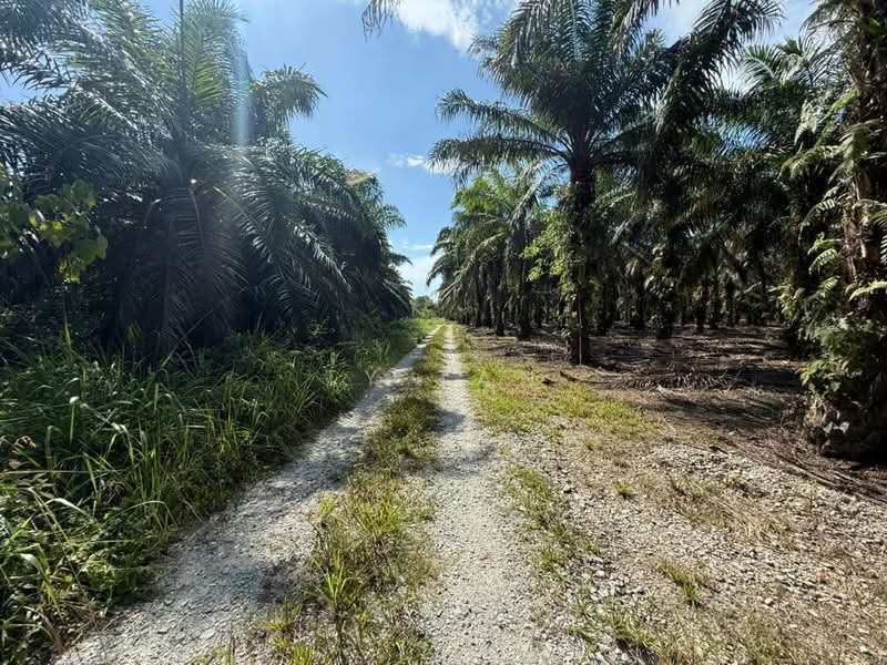 Agricultural Land for Sale in Kota Tinggi (Johor) - Ty Tan - Exterior - PropertyGuru.com.my