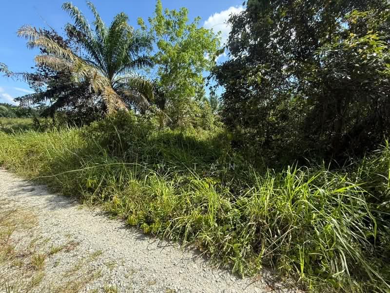 Agricultural Land for Sale in Kota Tinggi (Johor) - Ty Tan - Exterior - PropertyGuru.com.my