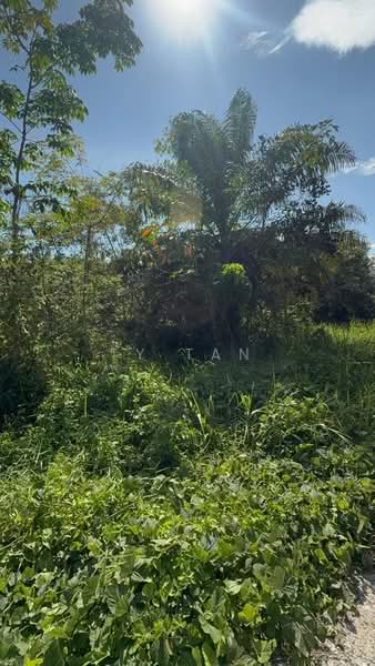 Agricultural Land for Sale in Kota Tinggi (Johor) - Ty Tan - Exterior - PropertyGuru.com.my
