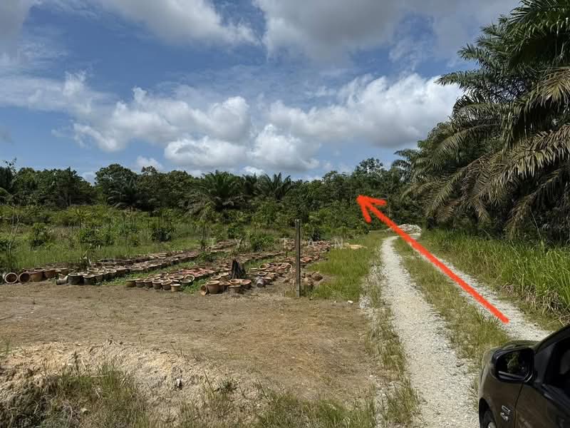 Agricultural Land for Sale in Kota Tinggi (Johor) - Ty Tan - PropertyGuru.com.my