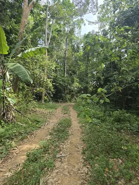 kuala kangsar kati untuk Untuk Dijual - RM 484,800, Mac 2026 - Exterior - PropertyGuru.com.my