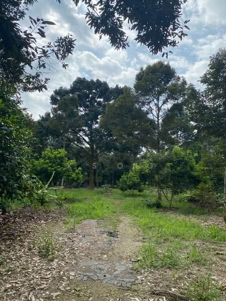 Agricultural Land for Sale in Johor Bahru (Johor) - K S Ong - Garden - PropertyGuru.com.my
