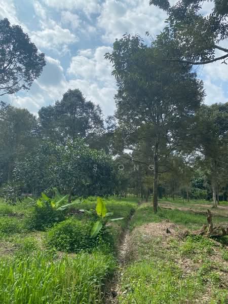 Agricultural Land for Sale in Johor Bahru (Johor) - K S Ong - Exterior - PropertyGuru.com.my