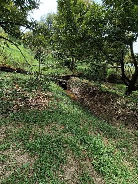 Ipoh Country Park untuk Untuk Dijual - RM 700,000, Mac 2026 - PropertyGuru.com.my