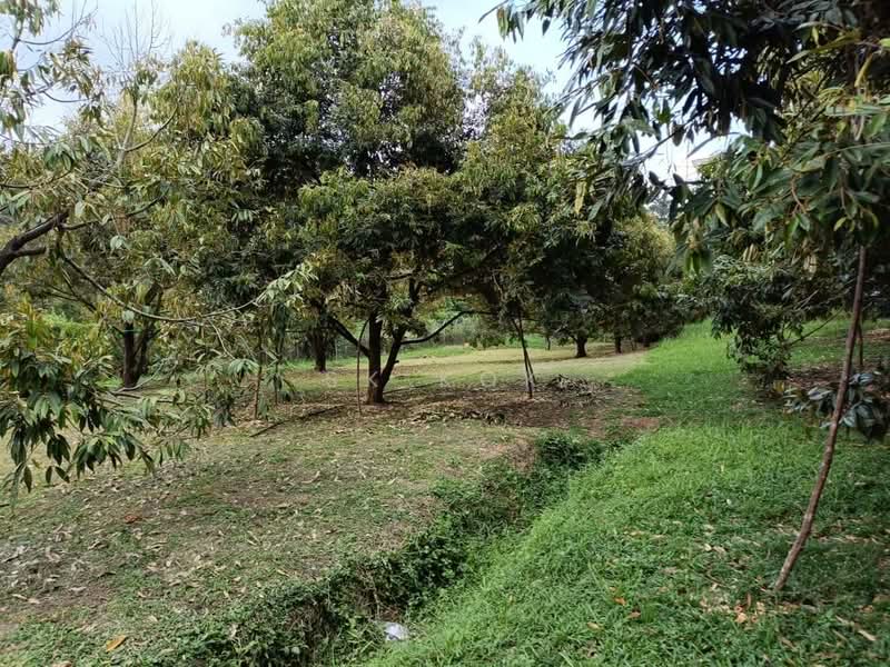 Agricultural Land for Sale in Gopeng (Perak) - SK Kok - Garden - PropertyGuru.com.my