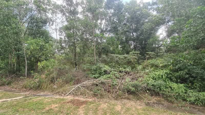 Residential Land for Sale in Bandar Tasik Kesuma (Beranang) - Elaine Yau - Exterior - PropertyGuru.com.my