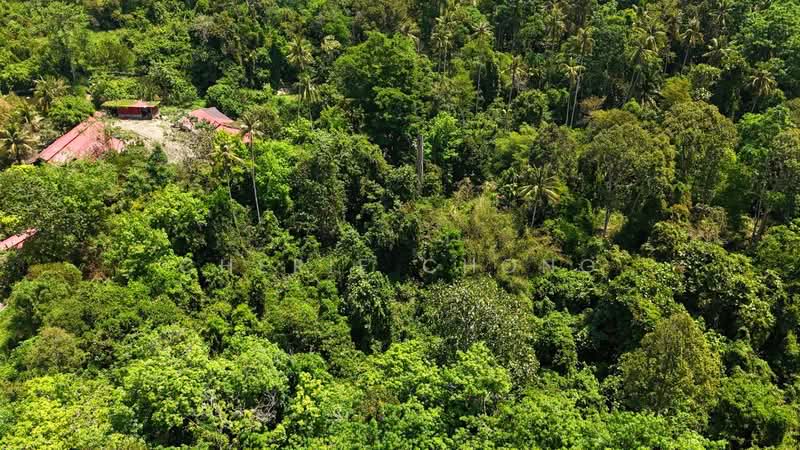 Kati Kuala Kangsar untuk Untuk Dijual - RM 484,800, Mac 2026 - Exterior - PropertyGuru.com.my