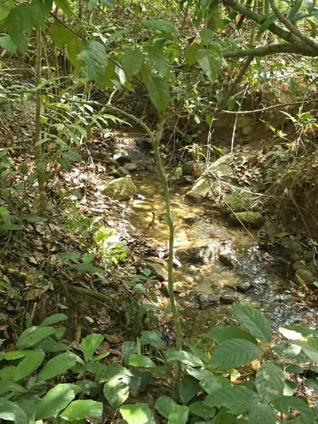 Kati Kuala Kangsar untuk Untuk Dijual - RM 484,800, Mac 2026 - Exterior - PropertyGuru.com.my