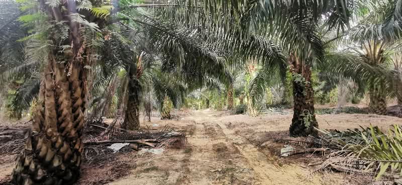 Industrial Land for Sale in Tebrau (Johor) - Michael Chong - Exterior - PropertyGuru.com.my