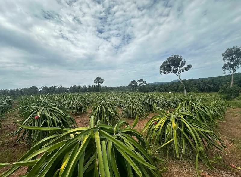 Pasir Panjang, Port Dickson untuk Untuk Dijual - RM 180,000, Mac 2026 - Exterior - PropertyGuru.com.my