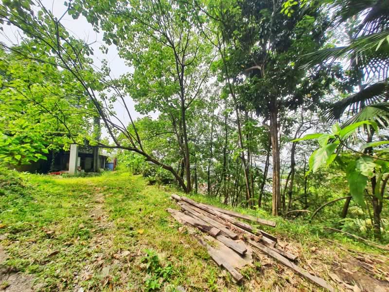 Agricultural Land for Sale in Sungai Penchala (Kuala Lumpur) - Iz Hakim - Exterior - PropertyGuru.com.my