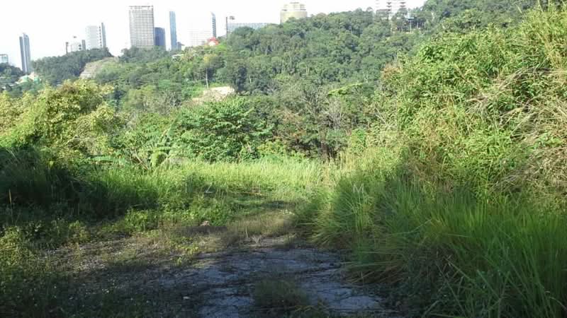 Agricultural Land for Sale in Sungai Penchala (Kuala Lumpur) - Iz Hakim - Exterior - PropertyGuru.com.my