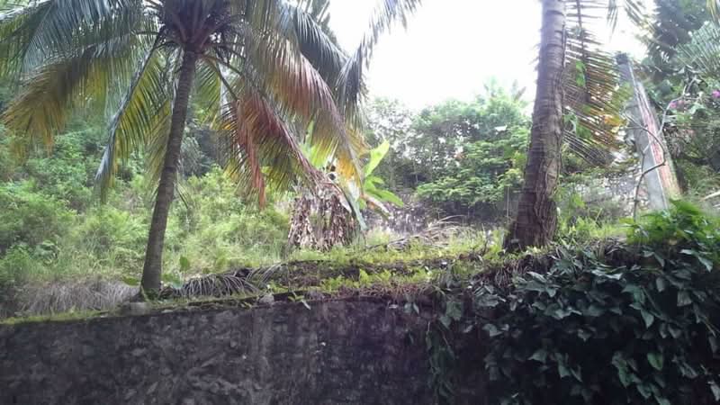 Agricultural Land for Sale in Sungai Penchala (Kuala Lumpur) - Iz Hakim - PropertyGuru.com.my