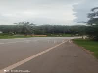 For Sale - Oil Palm Estate Paloh Kluang