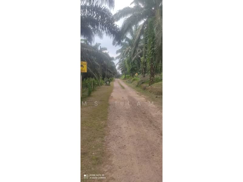 Oil Palm Estate Paloh Kluang untuk Untuk Dijual - RM 125,000, Mac 2026 - Exterior - PropertyGuru.com.my