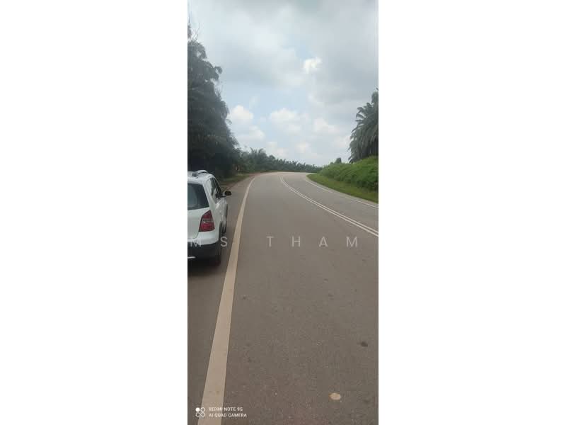 Oil Palm Estate Paloh Kluang untuk Untuk Dijual - RM 125,000, Mac 2026 - PropertyGuru.com.my