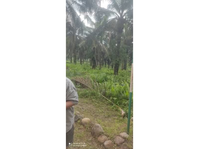 Oil Palm Estate Paloh Kluang untuk Untuk Dijual - RM 125,000, Mac 2026 - Exterior - PropertyGuru.com.my