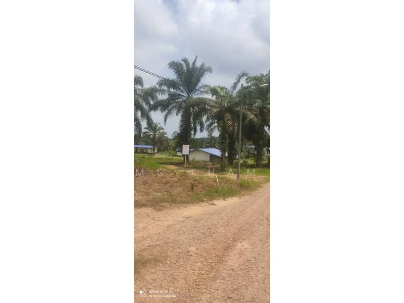 Oil Palm Estate Paloh Kluang untuk Untuk Dijual - RM 125,000, Mac 2026 - Exterior - PropertyGuru.com.my
