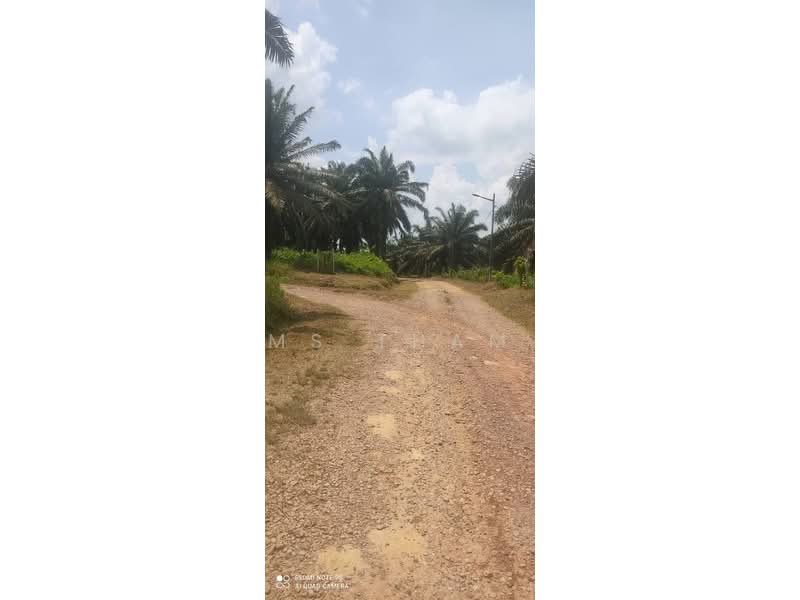 Oil Palm Estate Paloh Kluang untuk Untuk Dijual - RM 125,000, Mac 2026 - Exterior - PropertyGuru.com.my