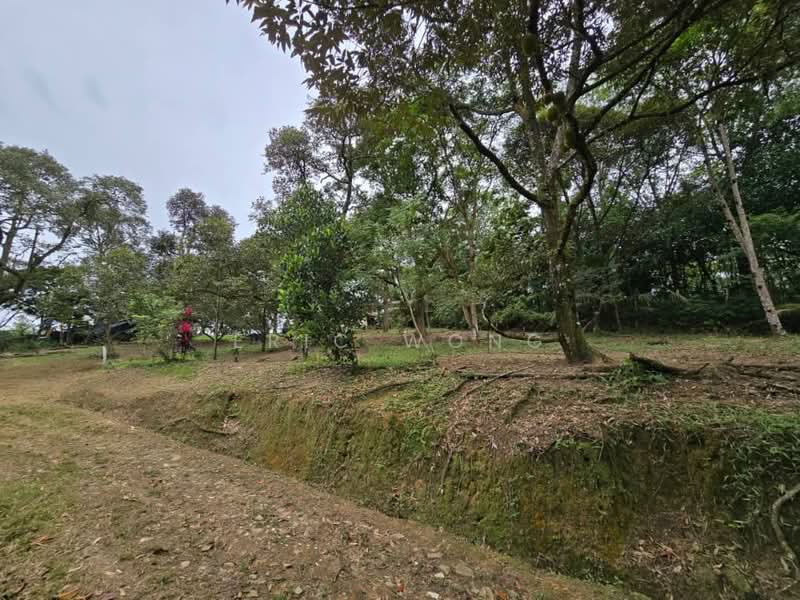 Tanah Pertanian untuk Dijual di Skudai (Johor) - Eric Wong - Exterior - PropertyGuru.com.my