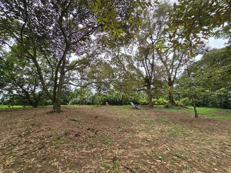Tanah Pertanian untuk Dijual di Skudai (Johor) - Eric Wong - Garden - PropertyGuru.com.my