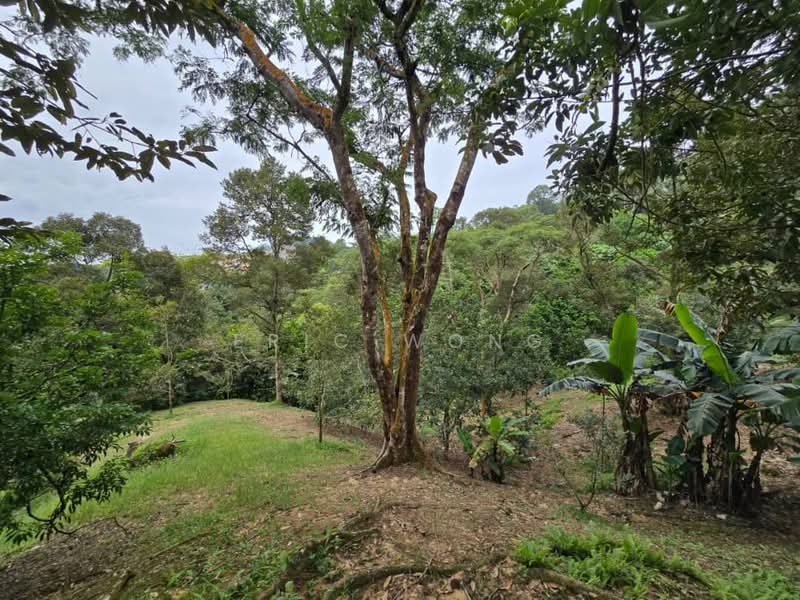 Tanah Pertanian untuk Dijual di Skudai (Johor) - Eric Wong - Garden - PropertyGuru.com.my