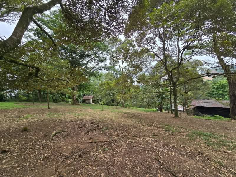 Tanah Pertanian untuk Dijual di Skudai (Johor) - Eric Wong - Exterior - PropertyGuru.com.my