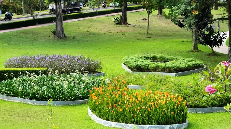 2-storey Terraced House for Sale in Pju 1a (Ara Damansara) - Celine Chin - Garden - PropertyGuru.com.my