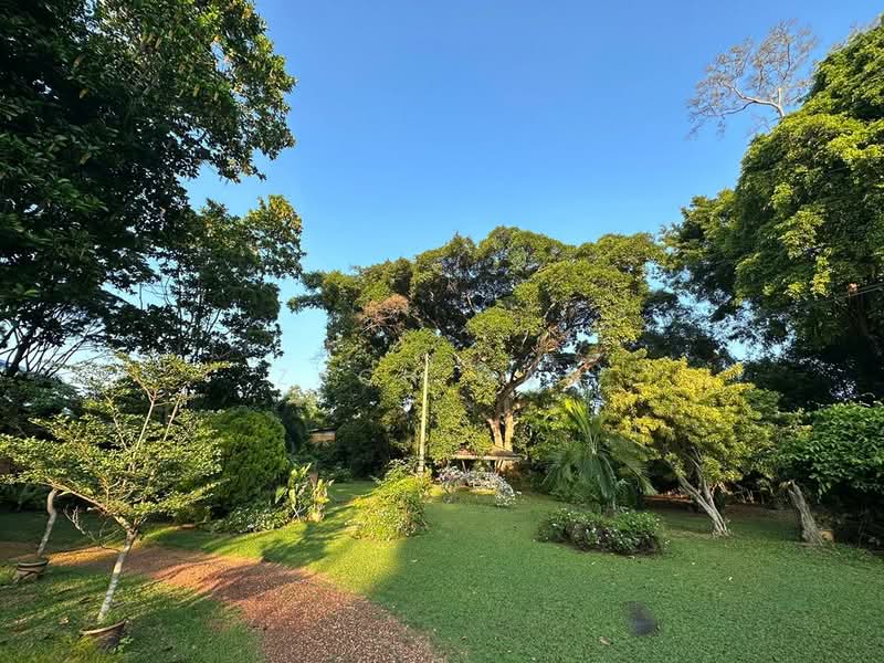 Bungalow for Sale in Port Dickson (Negeri Sembilan) - Zach Gan - Garden - PropertyGuru.com.my