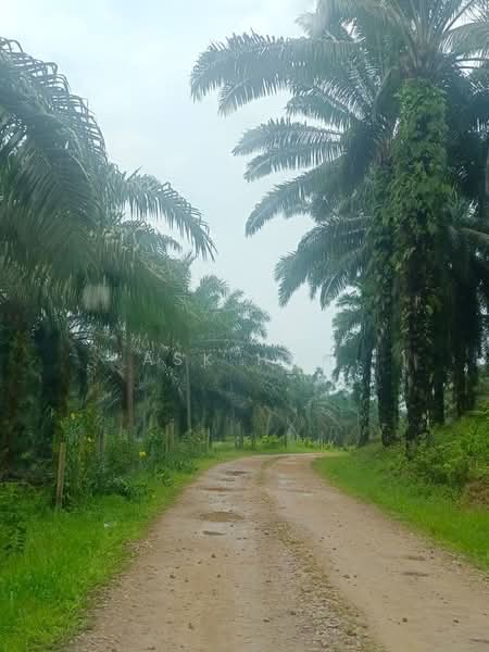 Paloh untuk Untuk Dijual - RM 99,999,999,999, Mac 2026 - Exterior - PropertyGuru.com.my