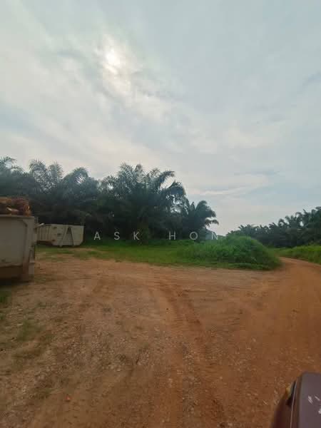 Paloh untuk Untuk Dijual - RM 99,999,999,999, Mac 2026 - Exterior - PropertyGuru.com.my